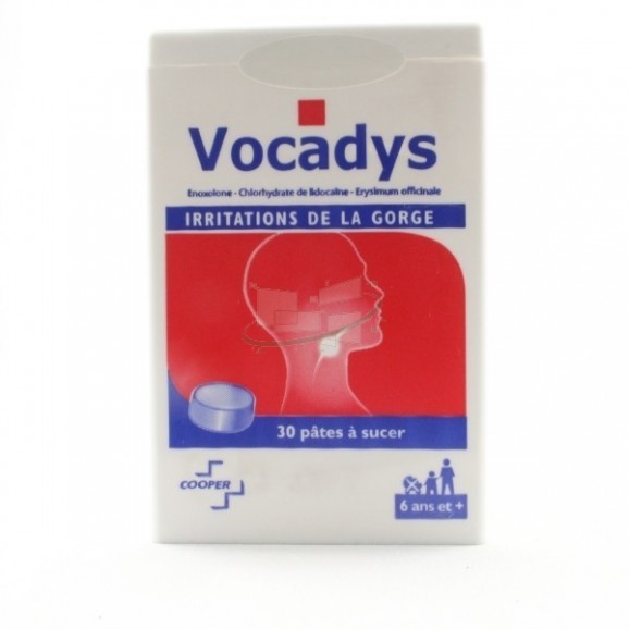 http://pharma59.fr/5821-thickbox_default/vocadys-pate-sucer-bt30.jpg